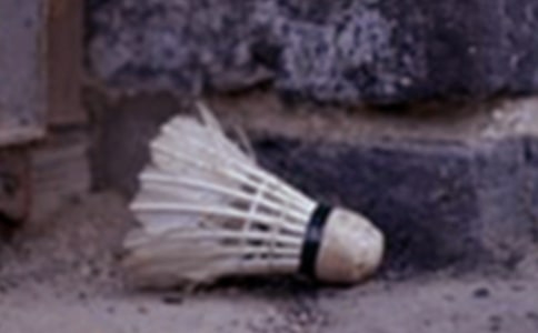 三年級(jí)打羽毛球日記(精選34篇)