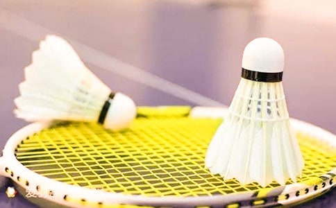 打羽毛球作文(匯總11篇)