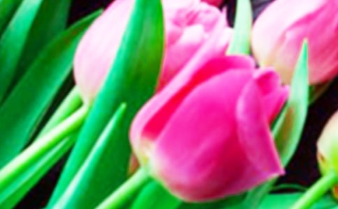 ����������������15ƪ�����T��