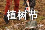 植樹(shù)節(jié)五年級(jí)黑板報(bào)
