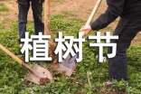 有關(guān)植樹(shù)節(jié)黑板報(bào)內(nèi)容