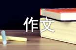 這兒真美三年級(jí)作文300字