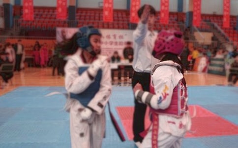 跆拳道作文集合15篇