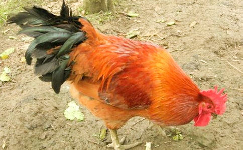 ���u����