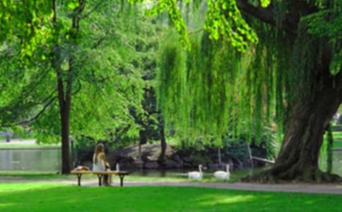 ��ɽ�Ϻ����@���ąR��[10ƪ]