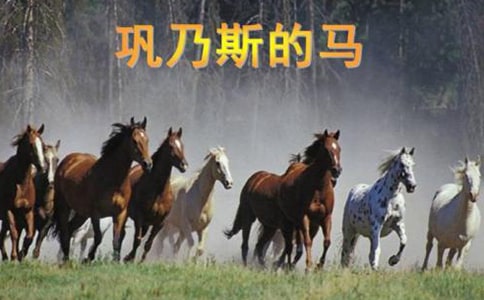 鞏乃斯的馬閱讀及答案