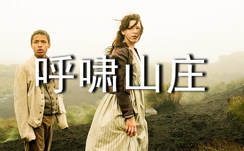 呼嘯山莊讀后感精品(13篇)