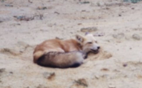 ���f�ͺ�؂�Ĺ���15ƪ�����x��