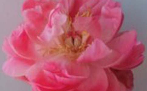 ʷ�F���������õ�塷��x����(x��)����