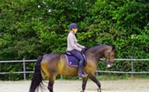 ��һ���T�R����(ͨ��15ƪ)