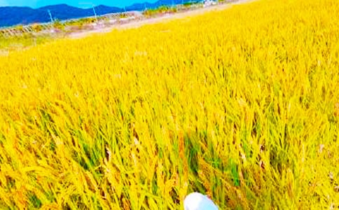 ��(y��u)�x�������x�Ĺ���