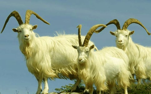 (����)Сɽ����ᘿ��D��Ԓ