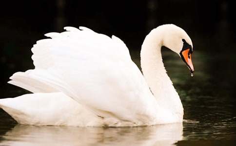 ���꼉���Z��x��