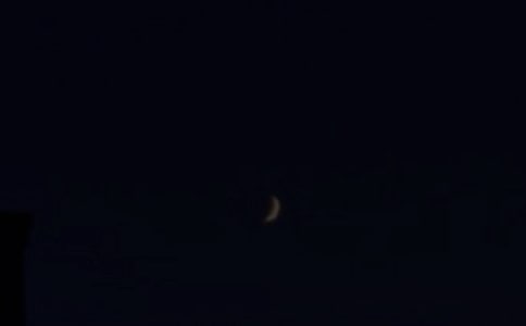 ��M���������������Z