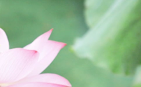 夏至?xí)r節(jié)的唯美文案大全