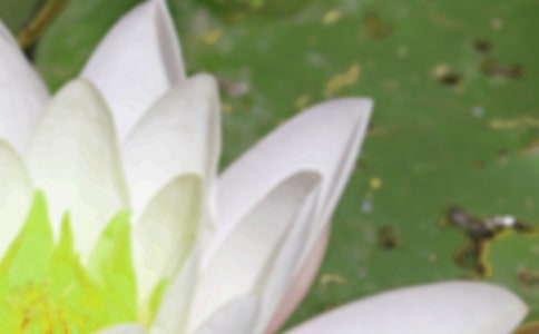 ���������g��(x��)��