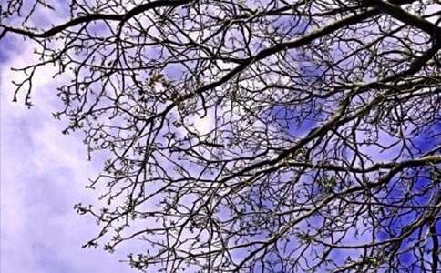 ��(g��)���簲�f�f�R����ͨ��200�䣩