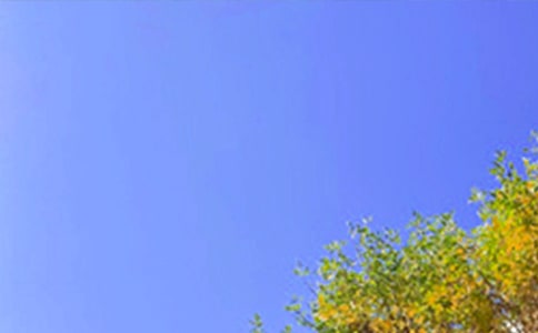 �����A��2021�����õ��簲����Ȧף���Z40��