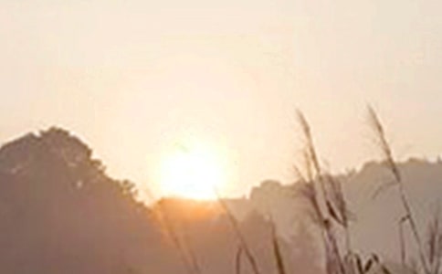 ��(j��ng)��Ψ���簲�f�f��ȫ55��