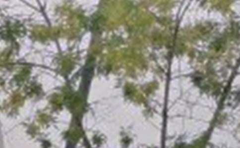 簡短暖心早安寄語大全150句精選