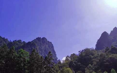 ���ҽ���ӛ15ƪ�����A��