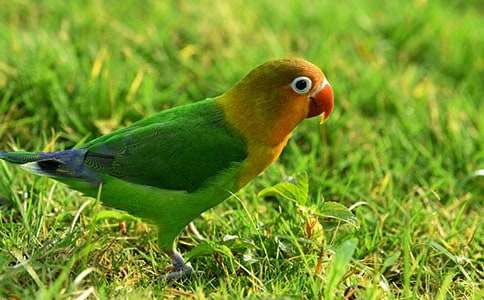 ���W�^�ޡ�ԭ�ļ��g��