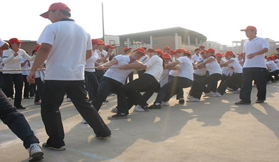 難忘的拔河比賽作文(精選39篇)