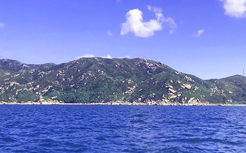 �P(gu��n)�ڴ󺣵ĺþ�ö�