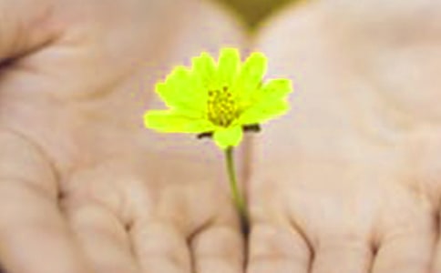 �u�ҽo�I�ҵ�Ǹ��9ƪ