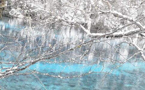 �������������đ�(y��ng)���A(y��)��