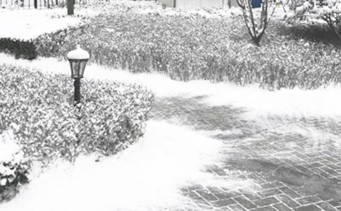 С�ඬ�����������̰������x9ƪ��