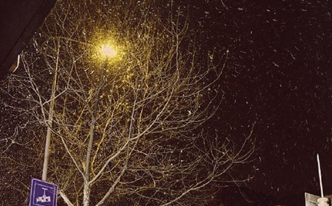 �P(gu��n)���茑�����Ԋ����~�Z