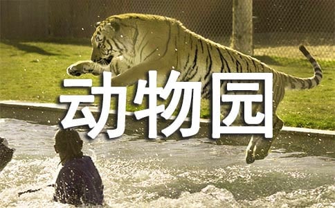 家里有個(gè)“動(dòng)物園”作文(精選3篇)