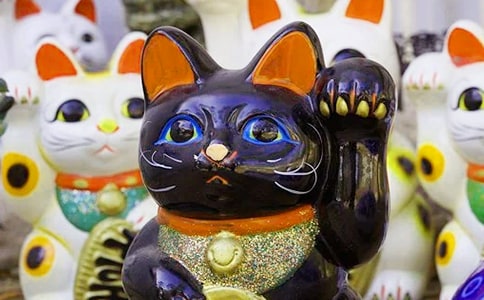 兔年祝老板發(fā)財?shù)奈⑿抛8UZ