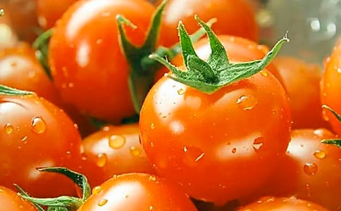 我學(xué)會(huì)了番茄炒蛋作文(精選25篇)