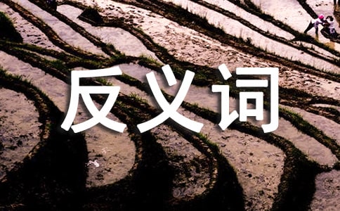 �������з��x�~���~�Z