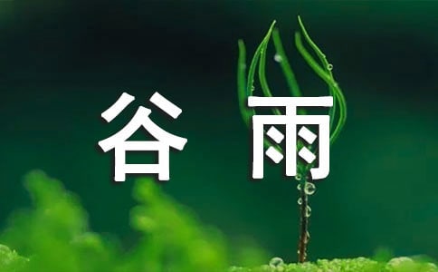 描寫谷雨節(jié)氣的優(yōu)美段落(精選350句)
