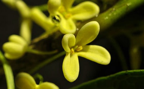 С�W(xu��)���^��ӛ����ӛ�����x20ƪ��