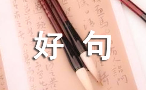 松樹(shù)的好句摘抄