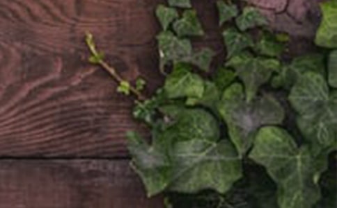 ���ݾ��Ǻ��C���ġ����x��