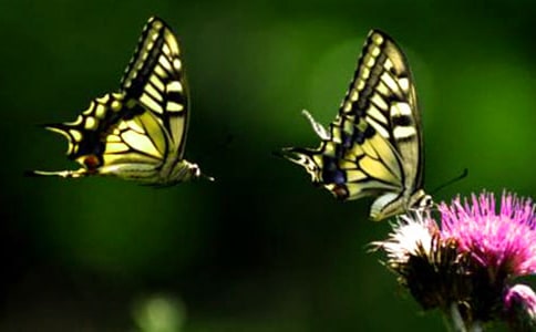 С�W(xu��)�������^��ӛ���ӛ