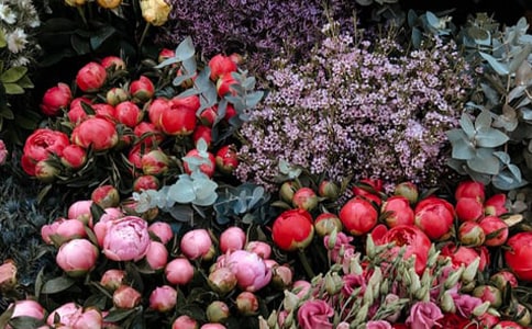 ���®��I(y��)��������(d��ng)���������x5ƪ��