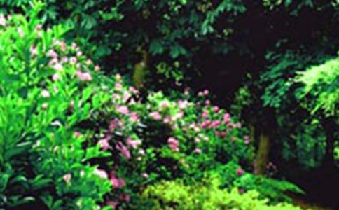 �@���������꼉(j��)����300�����ϻ��@��ͨ��29ƪ��