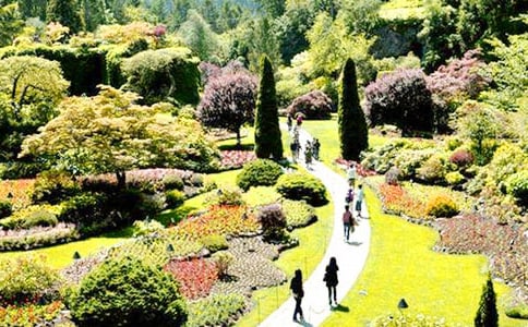 續(xù)寫《巨人的花園》作文8篇