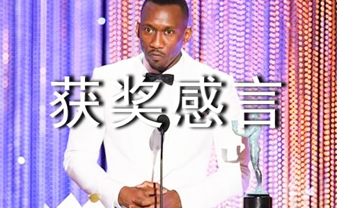 �e�O���ӫ@����������