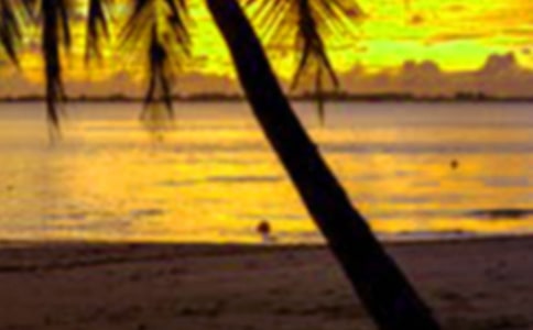 【薦】假期生活小學(xué)作文