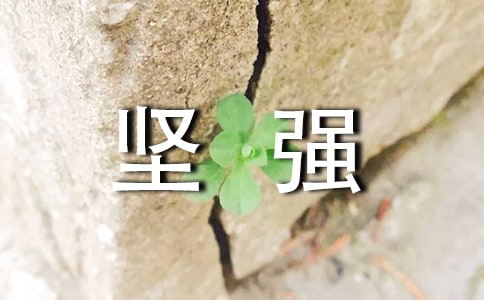 ��(ji��n)��(qi��ng)�Ŀ��g��(g��)���f(shu��)�f(shu��)