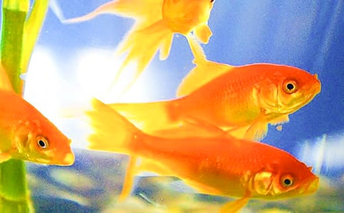 С�W(xu��)���^����~���^����ӛ