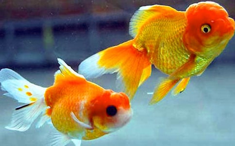 �^����~��ӛͨ��15ƪ