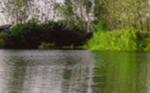 描寫夜晚景色的唯美語段